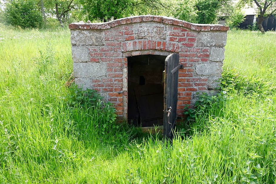 cellar, old, underground, bricks, doorway, plant, grass, architecture HD wallpaper