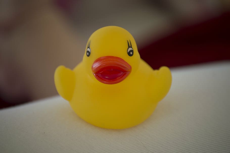 duck, swim, wet, toys, rubber duck, bath accessories, yellow, HD wallpaper