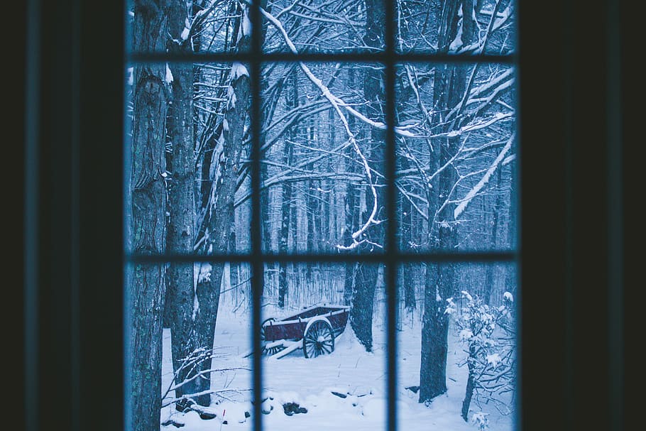 red wheelbarrow on white snow field, window, forest, snow fall HD wallpaper