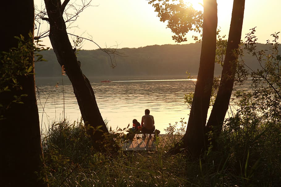 lake, rest, nature, tree, plant, water, sunset, leisure activity HD wallpaper