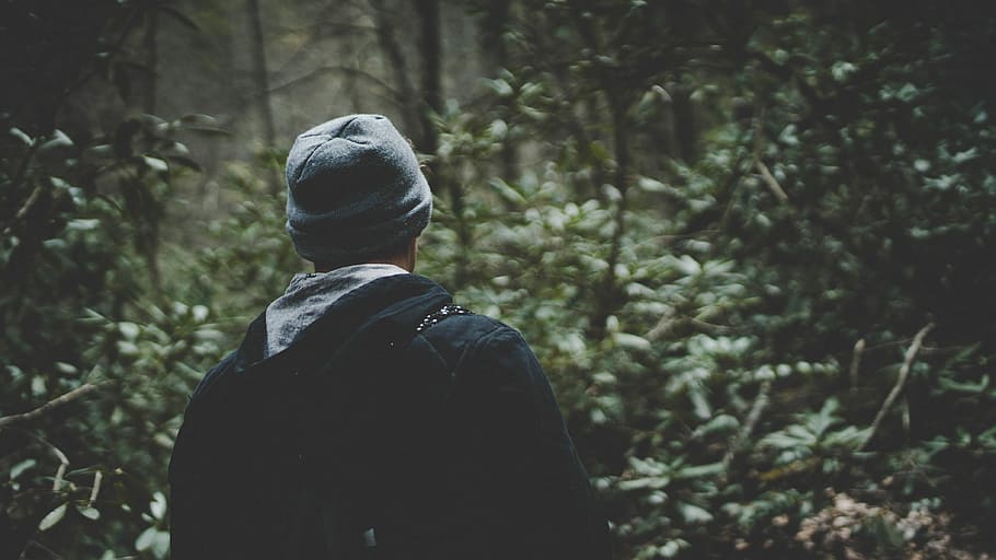 person in black hoodie and wearing gray beanie in forest, man surrounded by leaves during daytime