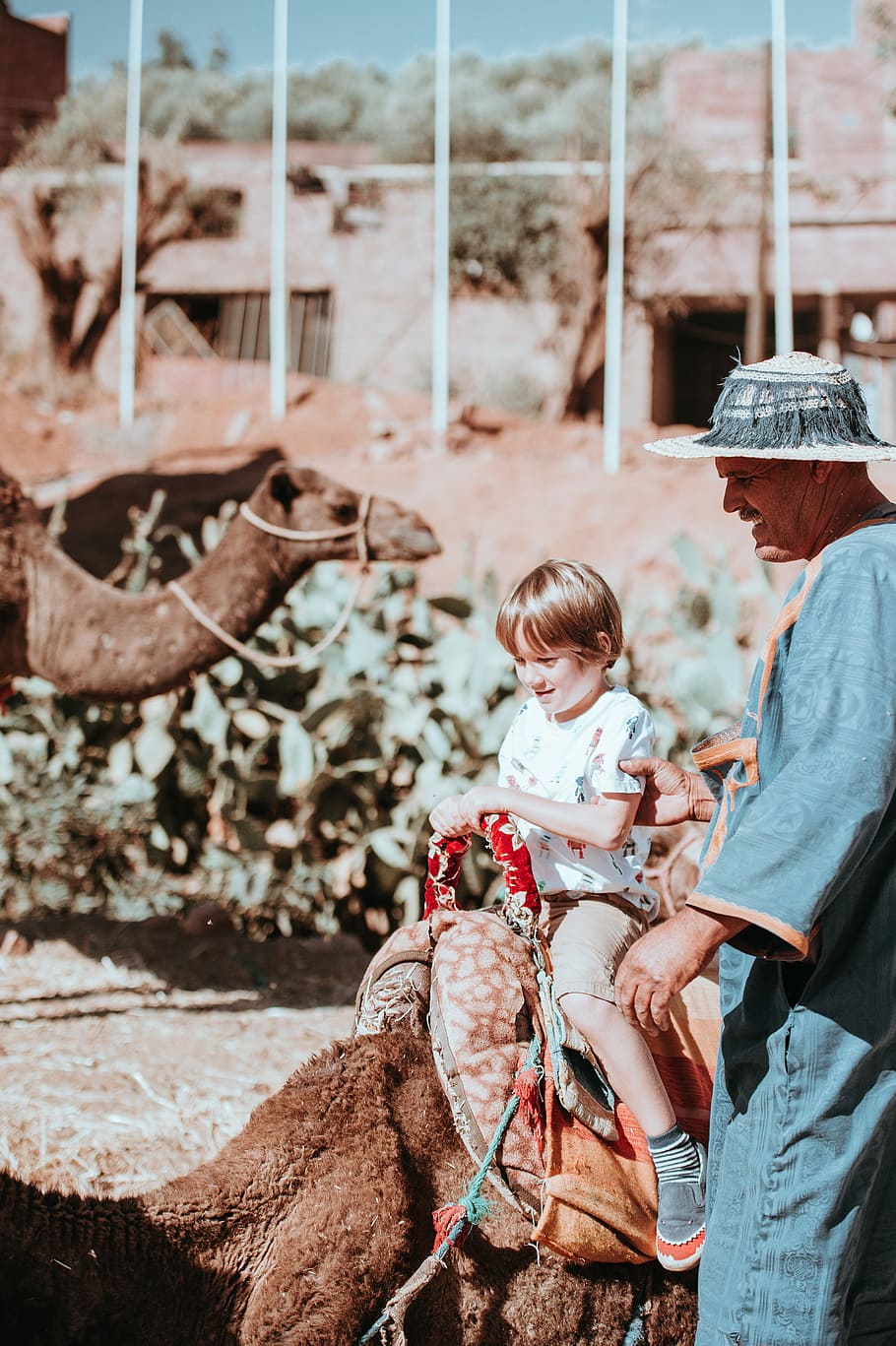 Boy riding a camel, boy riding camel, child, desert, summer, mammal HD wallpaper