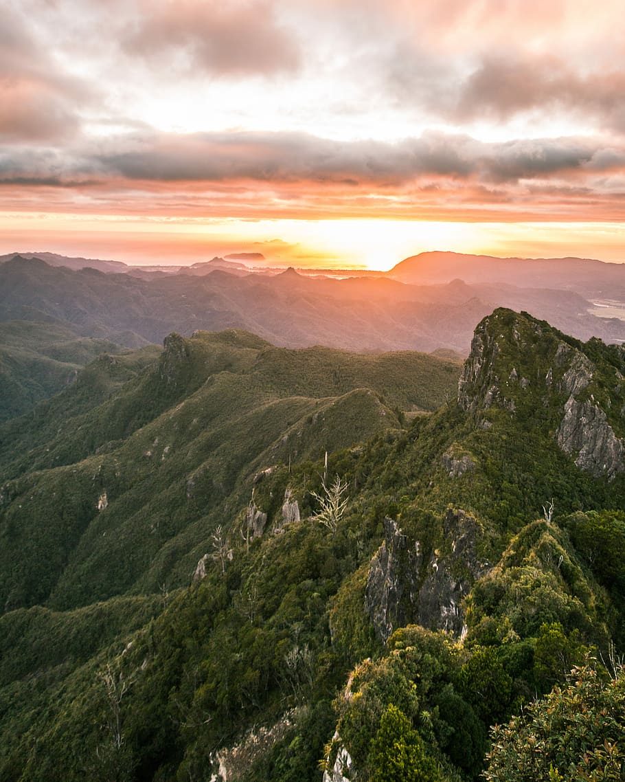 aerial photo of forest during sunrise, aerial photography of mountain HD wallpaper
