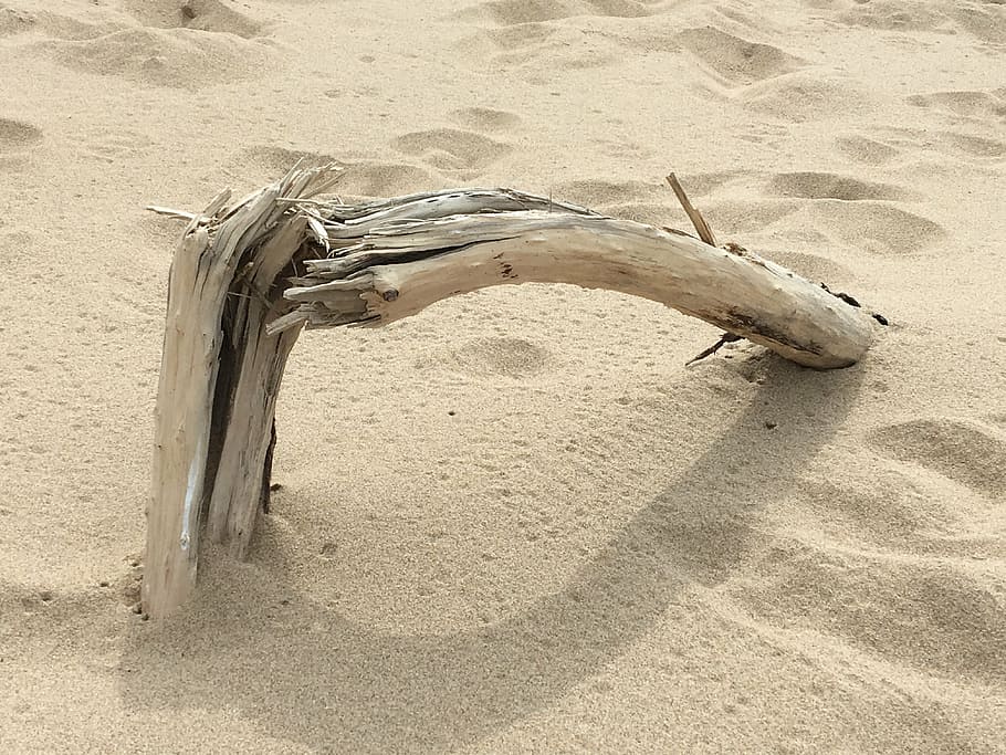 beach, wood, texture, coast, island, sand, white, no people HD wallpaper