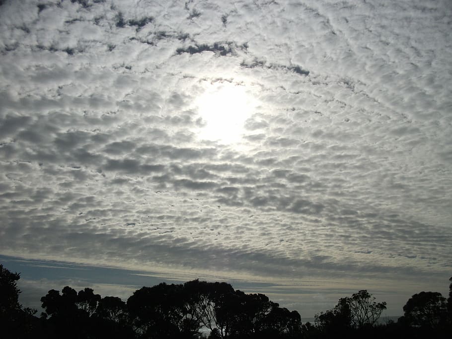 sky, clouds, winter, sun, nature, sunlight, outdoor, bright HD wallpaper