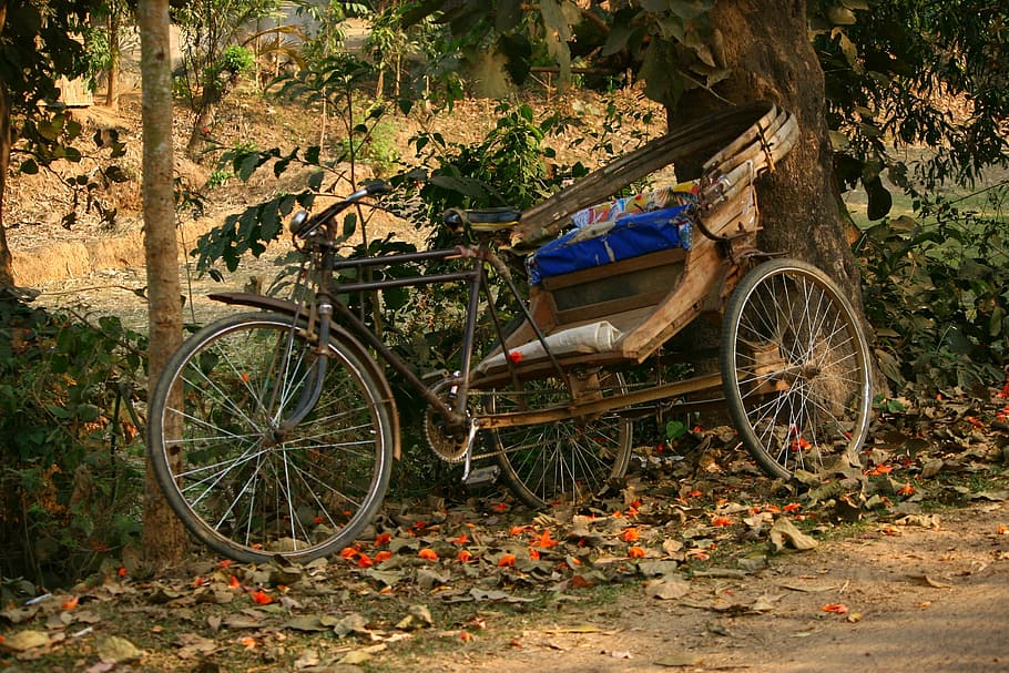Old rickshaw at Dhaka, Bangladesh, bike, photos, public domain