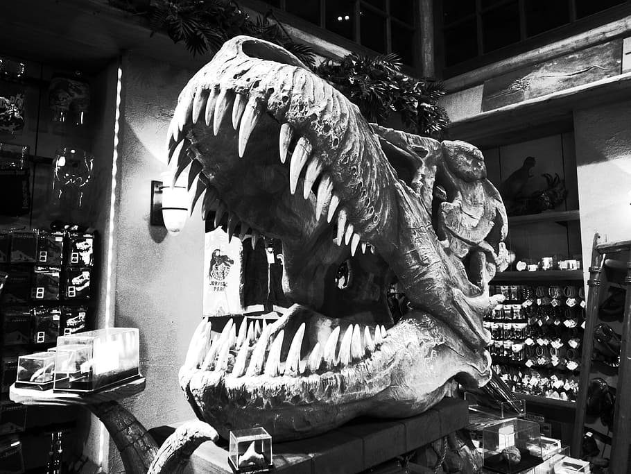 dinosaur head decor, wikiproject dinosaurs, big teeth, predator HD wallpaper