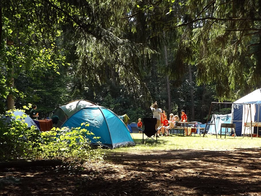 people near camping tents and green trees during daytime, group of people