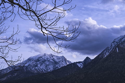aesthetic, mountain, clouds, mood, sunset, branch, tree, nature HD wallpaper