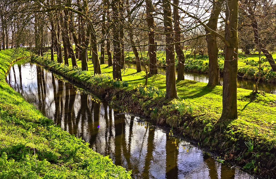 creek in between green grass and forest, ditch, moat, water HD wallpaper