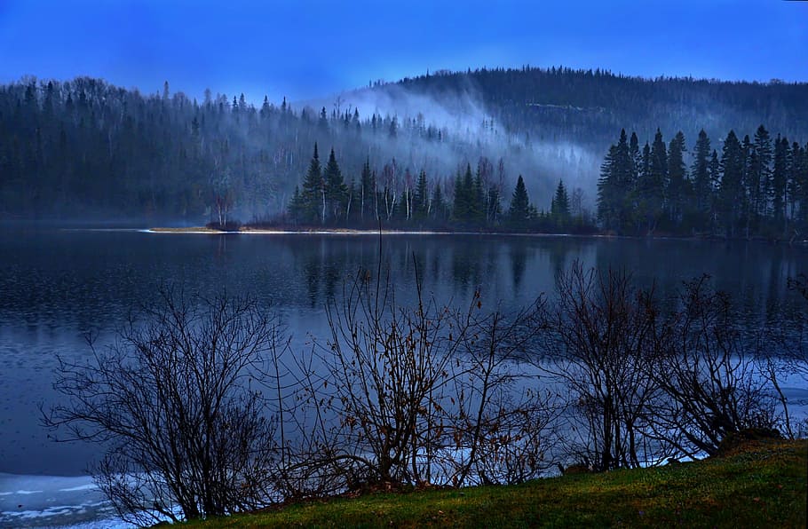 mountain covered with fog, landscape, nature, trees, mist, wood HD wallpaper