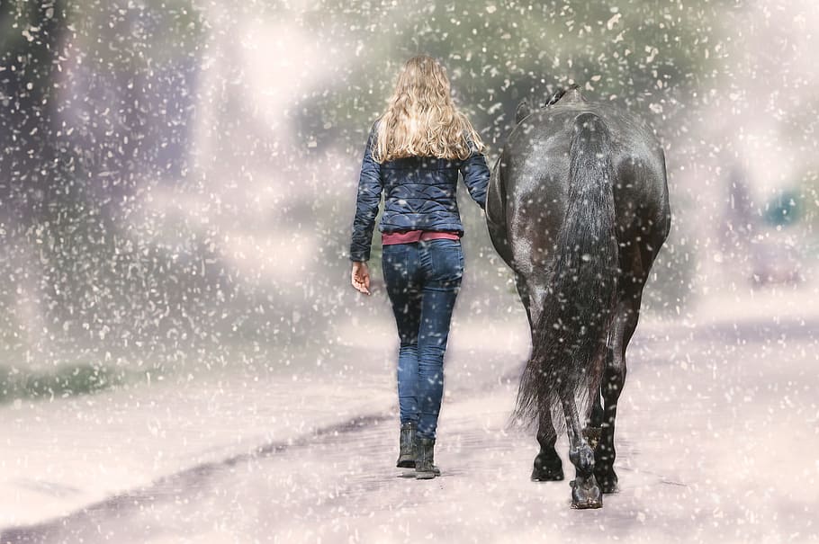 action, winter, spray, adult, horse, snow, snowing, wet, nature HD wallpaper