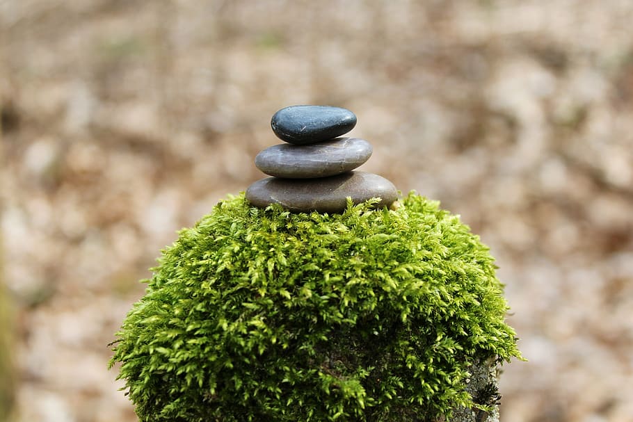 selective focus photo of stone stack on top of green plant HD wallpaper