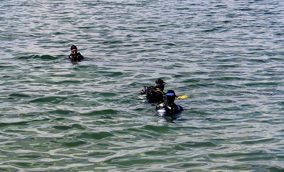 divers, diver group, testing, descend before, lake, lake constance HD wallpaper