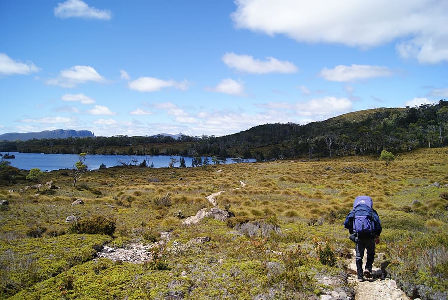 Hiking, Overland Track, Tasmania, windermere, lake, park, national, HD wallpaper