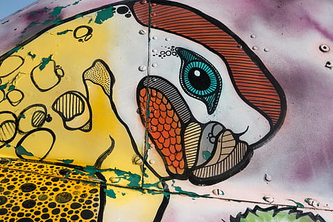 multicolored parrot painting, graffiti, helicopter, object HD wallpaper