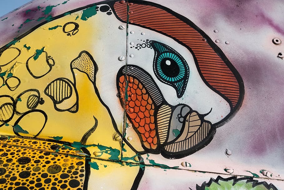 multicolored parrot painting, graffiti, helicopter, object HD wallpaper