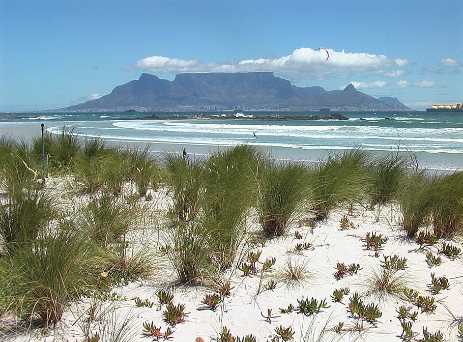 Cape Town, Table Mountain, South Africa, nature, beauty in nature, HD wallpaper