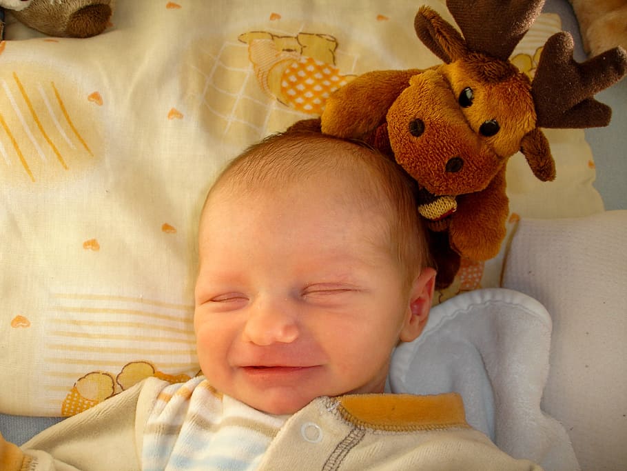 baby lying on bed beside deer plush toy, Child, Infant, Boy, Newbie, HD wallpaper