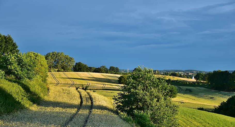 green grass field during daytime, Landscape, Twilight, Trees HD wallpaper