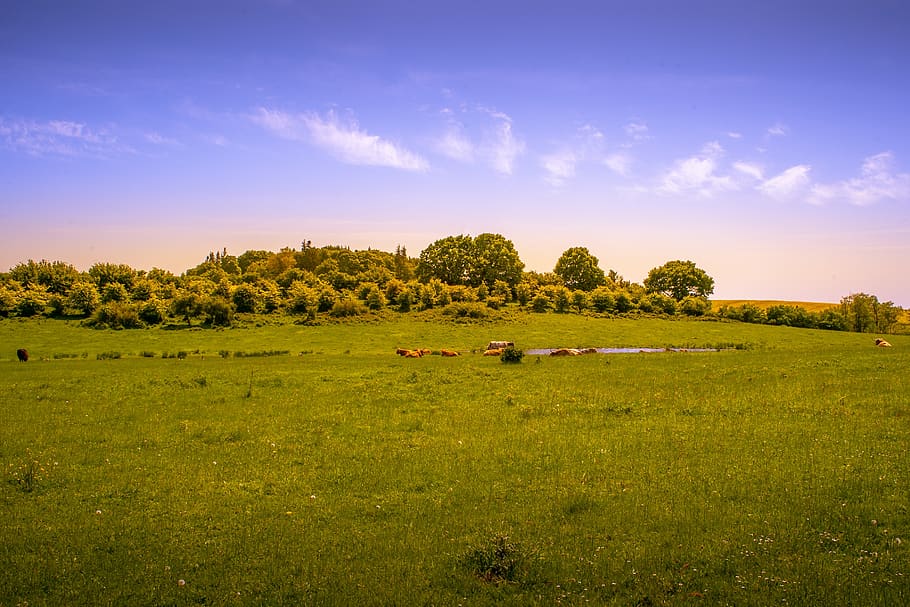 Online Crop Hd Wallpaper Landscape Meadow Nature Sky Clouds Green Grass Hill