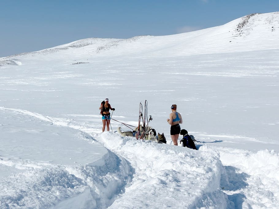 women standing on snow covered land, winter, spring, ski trip HD wallpaper