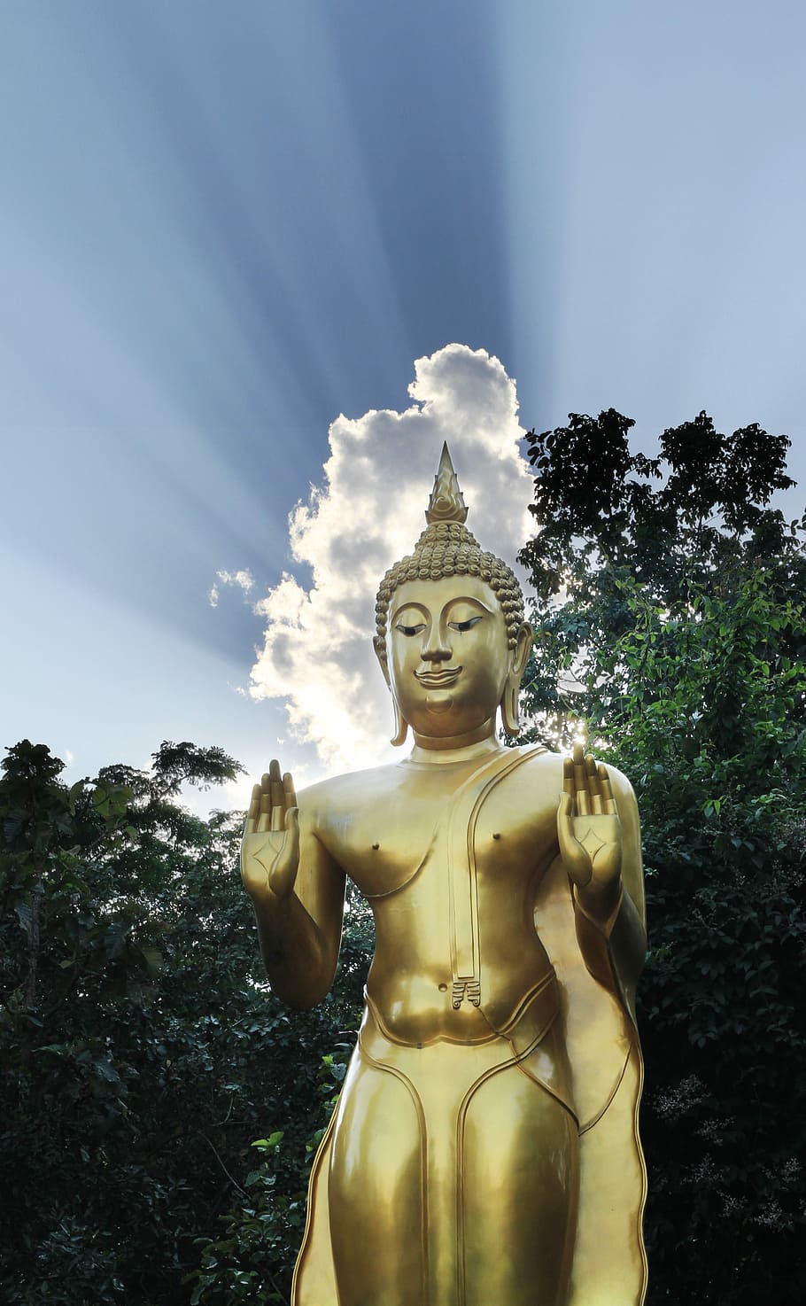 Buddha, Blue Sky, Gold, statue, religion, tree, sculpture, spirituality HD wallpaper