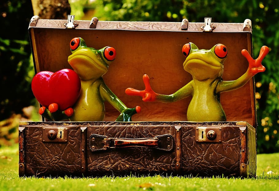 two green frogs on box, homesickness, travel, wanderlust, luggage, HD wallpaper