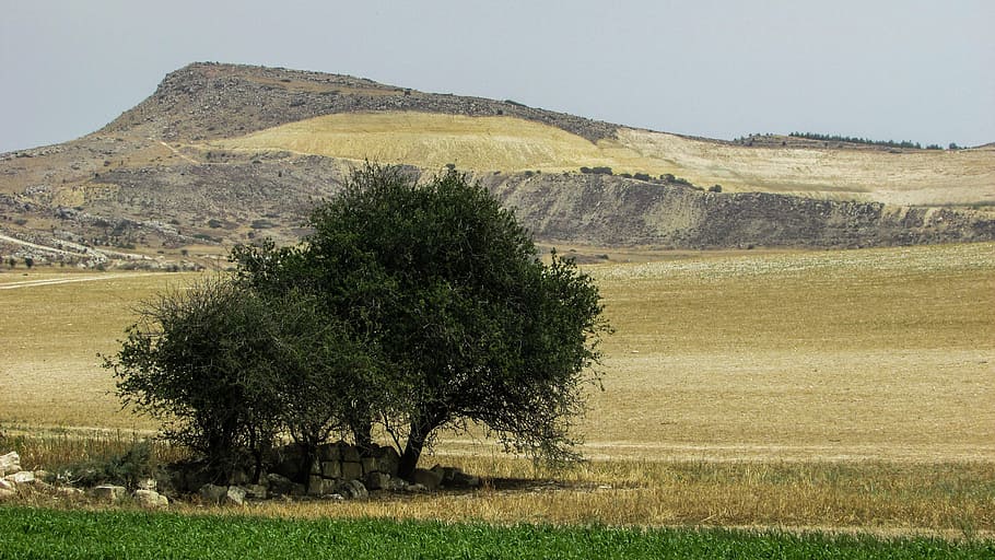 cyprus, kelia, landscape, trees, fields, nature, rural Scene HD wallpaper