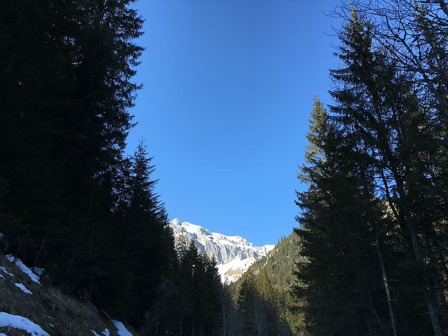 mountain, sky, blue, landscape, high mountain, snow, fir, alps HD wallpaper