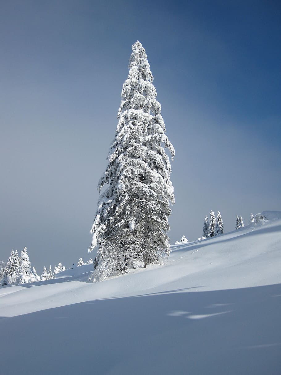 winter, snow, white, cold temperature, sky, nature, scenics - nature HD wallpaper