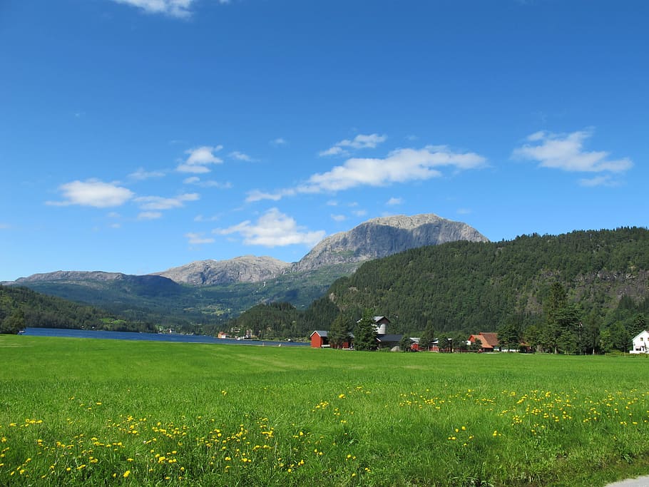 Norway, Gaular, Mountain, summer, agriculture, landscape, field HD wallpaper