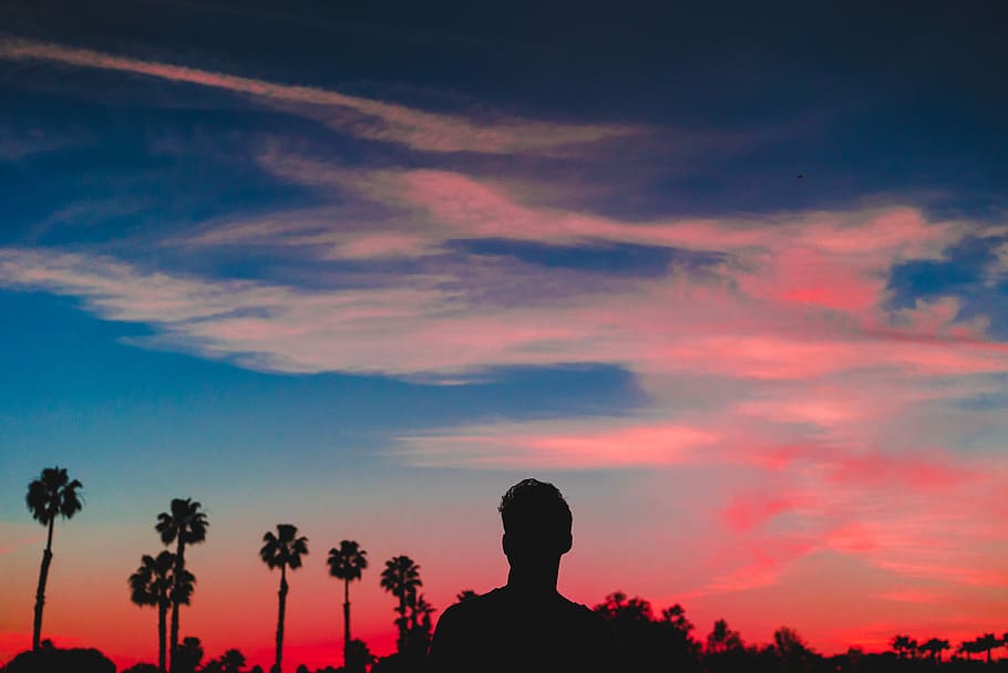 silhouette of man, silhouette of man standing during sunset, palm tree HD wallpaper