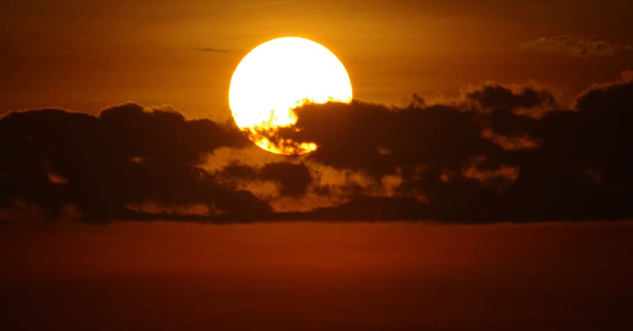 sunset, duck, sky, cloud - sky, scenics - nature, beauty in nature HD wallpaper