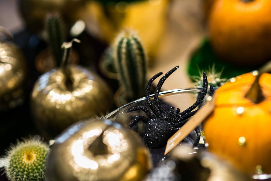 Golden ornamental pumpkins with cactuses, ornaments, baubles