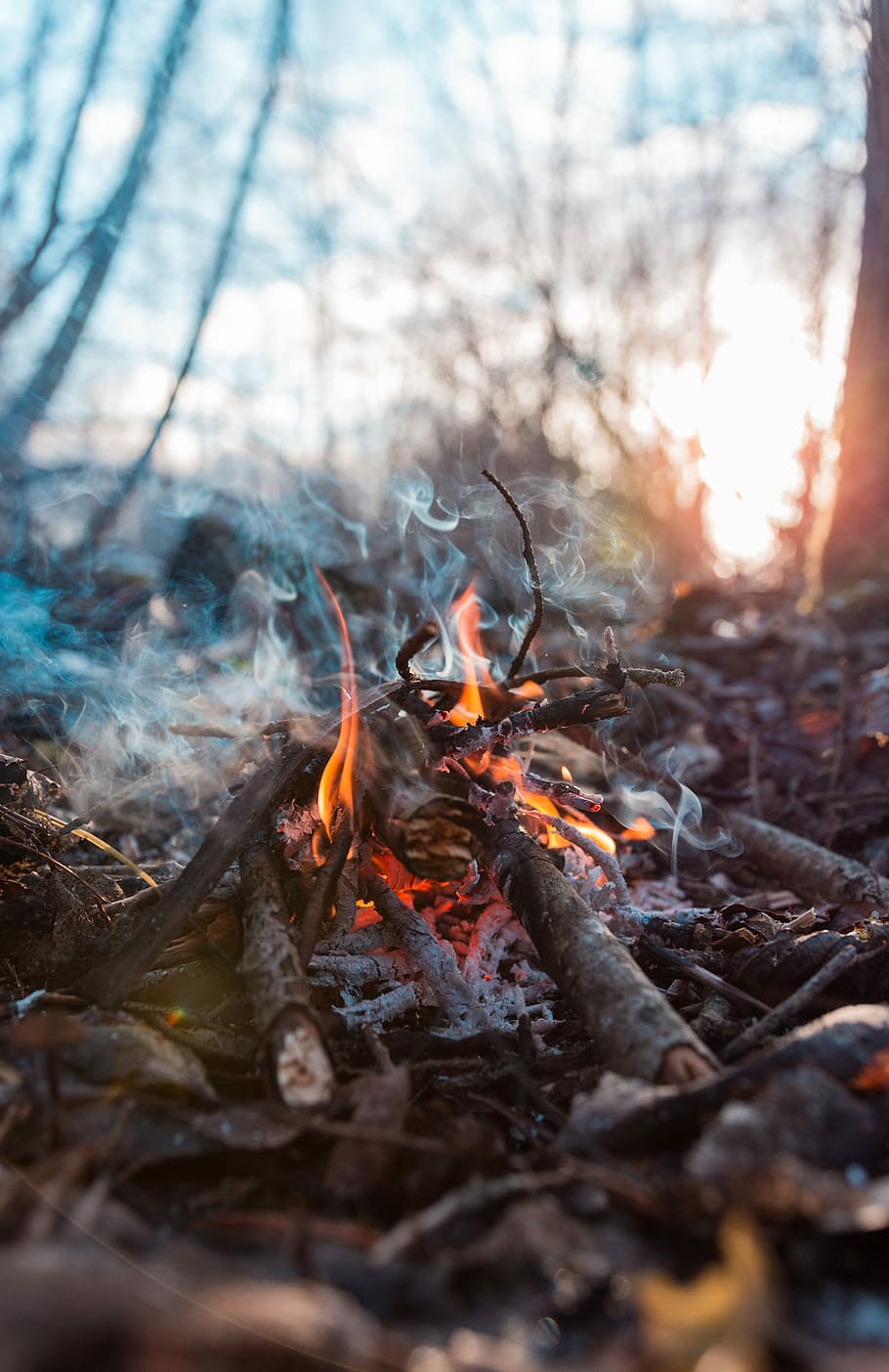 time lapse photography of bonfire, close view of bonfire, forest HD wallpaper