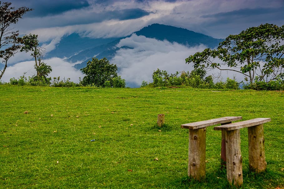 grass, landscape, tree, nature, hayfield, panoramic, cloud HD wallpaper