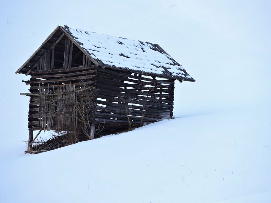 barn, winter, log cabin, heustadel, wintry, field barn, snow HD wallpaper