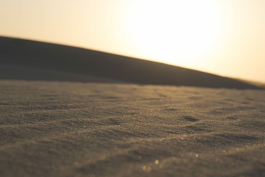 focus photography of sand, low-angle photo of landscape field HD wallpaper