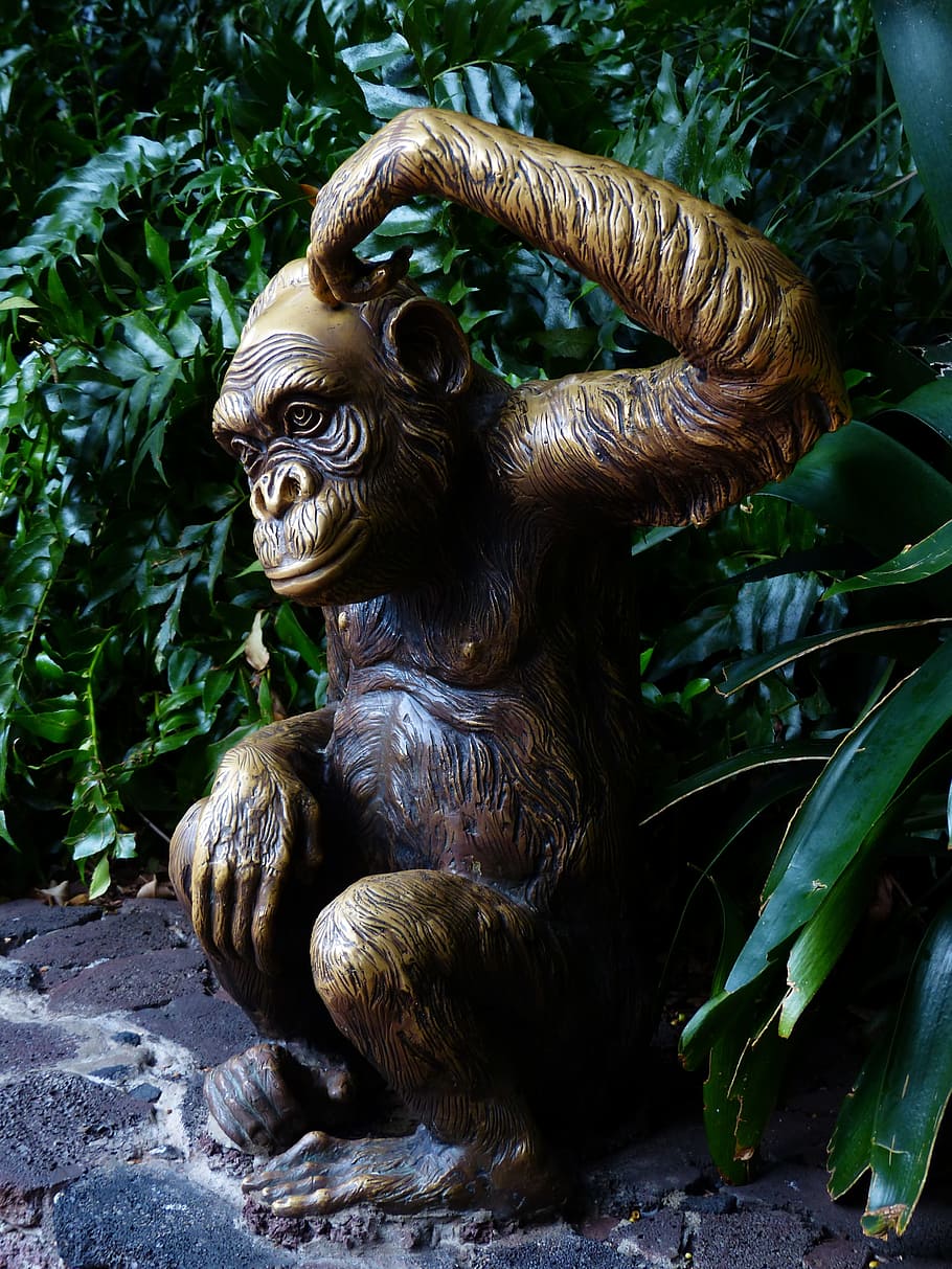 monkey, figure, funny, consider, chimpanzee, bronze statue HD wallpaper