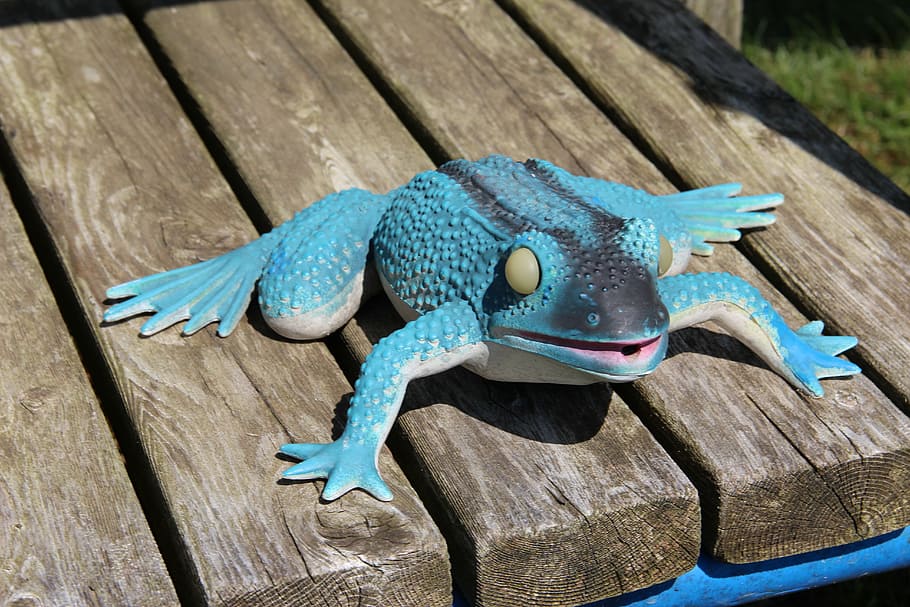 frog, bench, lon, joke, amphibian, happy, wood - material, blue HD wallpaper