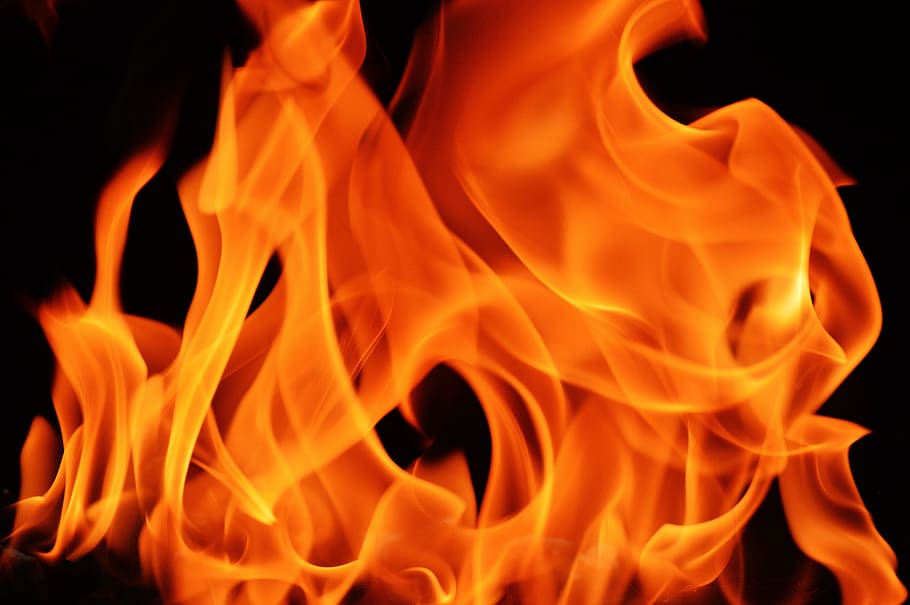 red fire illustration, flame, embers, hot, burn, campfire, wood HD wallpaper