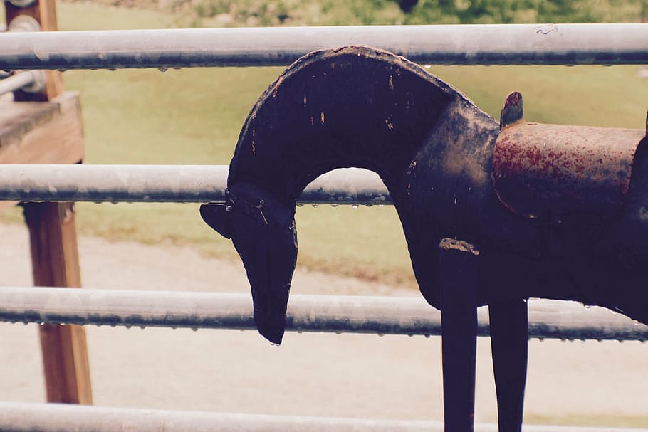 decoration, outdoor, rustic, horse, metal, small, day, rusty HD wallpaper