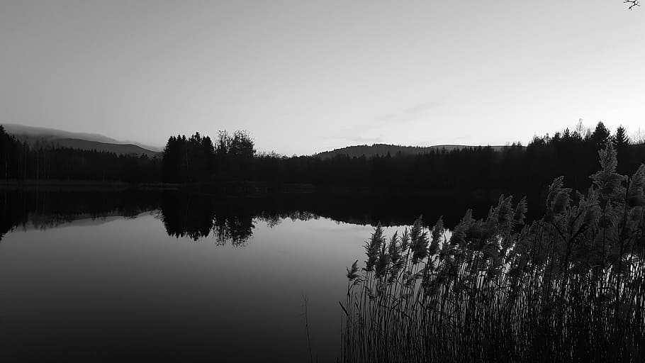 Landscape, Water, Lake, nature, tree, reflection, scenics, tranquil Scene HD wallpaper