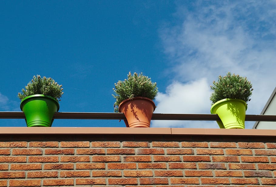 flowers, pots, sky, clouds, building, structure, brick, nature HD wallpaper