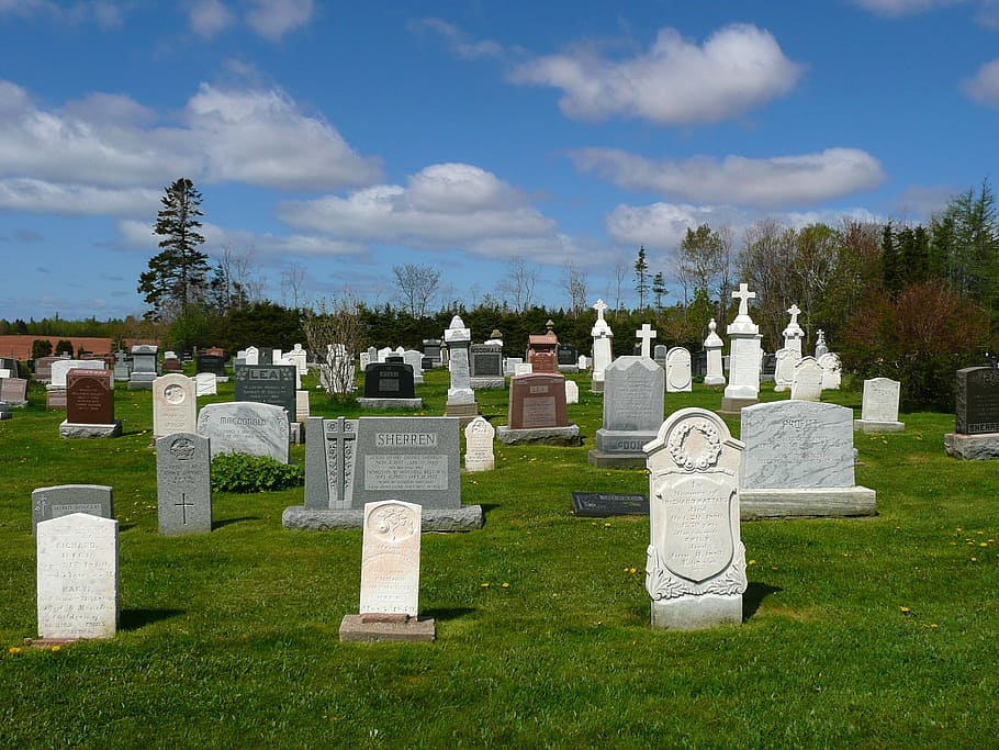 assorted-color tombstones on cemetery during daytime, Graves