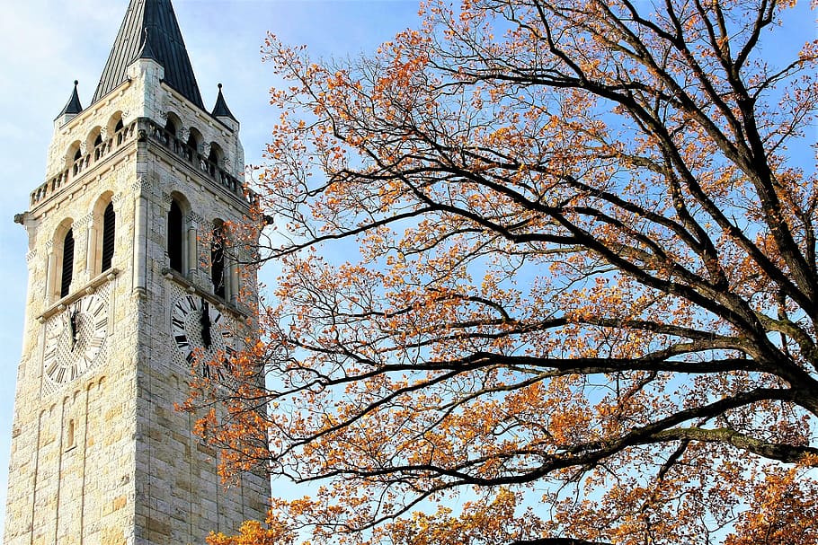 gray concrete clock tower near orange leafed tree, sky, park HD wallpaper