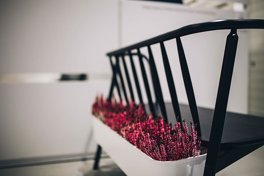 Plants in flowerpots on an exhibition, exposition, nature, summer HD wallpaper