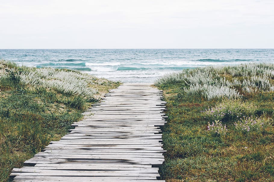 body of water beside green grass photography, beach, ocean, nature HD wallpaper