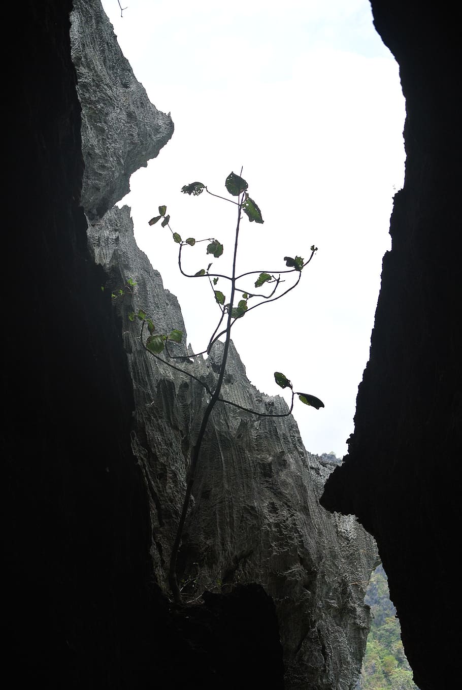 rocks, caves, limestone, rock - object, beauty in nature, rock formation HD wallpaper